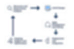Agile Development Cycle for Flutter Apps